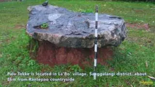 Pala Tokke Is Where The Hanging Graves And Ancient Coffins In Tana Toraja Can Visited