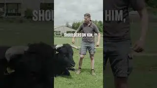 What makes Fenton a good Dad?