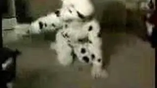 Subservient Pup