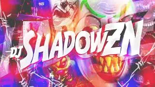 🎴 | SLIDE STELAR MELODY | 🎴 ▪︎ DJ SHADOW ZN