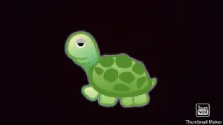 Черепаха 🐢