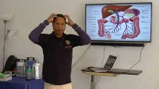The Liver and its Functions and how to Heal it.