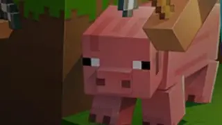Minecraft (funny moments 2)