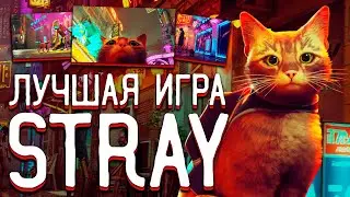 STRAY REVIEW - BEST GAME OF 2022? GAMEPLAY, STORY, HONEST REVIEW (STRAY REVIEW, 2022)