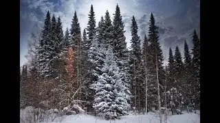 ЗИМНЯЯ БАЛЛАДА... (Фото Александра Шадракова (Кемерово), музыка Сергея Рахманинова)