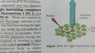 Organization of Photosystem in Chloroplast #photosystem #photosynthesisinhigherplants #pigmentsystem