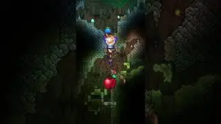 All Permanent Buff Items From the Shimmer! 