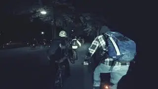 alleycat 2018