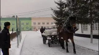 Масленица в колонии