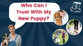 New Puppy Care: Who to Hire When You Need Help