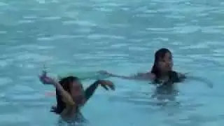 Island Cove 2005