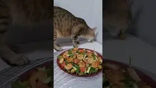 Софочка