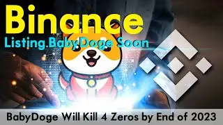 Binance Listing BabyDoge Soon! | BabyDoge Will Kill 4 Zeros by End of 2023 | BabyDoge Virtual Card
