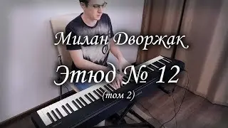 Милан Дворжак - этюд № 12, том 2 (Dvorac etude № 12, book 2).