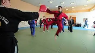 Аттестация Хапкидо 2017