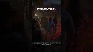 Проверка мифов в RDR2 