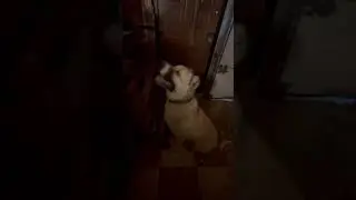 Тоша охр…л😆