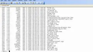 Using The Cisco delete recursive Command To Remove Directories