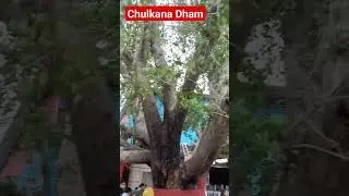 Chulkana Dham Panipat Haryana #khatushyam #shorts