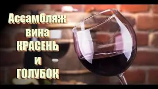 Ассамбляж вин из винограда ГОЛУБОК и КРАСЕНЬ! Богатое насыщенное домашнее вино!