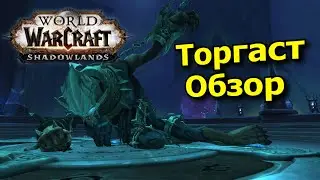 Торгаст Башня Проклятых - обзор на практике. Танк Паладин. [WoW:Shadowlands]