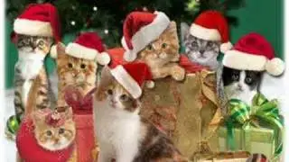 Christmas Jingle Cats