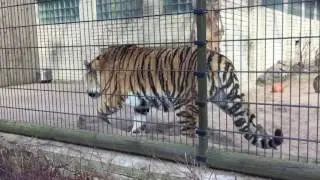 Tallinn Zoo