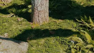 Curso Disponible /3dsMax /ForestPack/ V-Ray/ Megascans