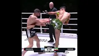 ONE Lumpinee 1: Mohammad Sadeghi 🇮🇷 vs Angelos Giakoumis 🇬🇷 highlights