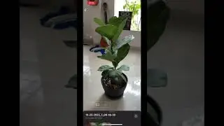 3D scanning NeRF with the new luma app from lumalabs.ai (beta)