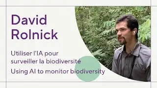 Présentation du projet AMI (Surveillance automatisée des insectes) l Introducing the AMI Project