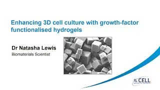 Enhancing 3D cell culture with growth factor functionalised hydrogels