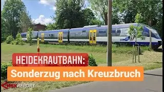 MSK REPORT (30) - Heidekrautbahn: Sonderzug nach Kreuzbruch