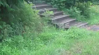 Уильям Шекспир. Сонет 8.