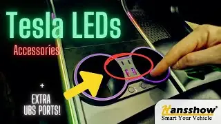 LED Lights and USB Hub / Cupholder & Fragrance for Model 3 and Model Y: Product Review