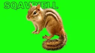squeriell green screen \chrome key green screen 