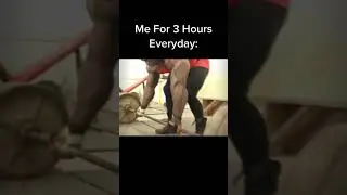 Average Day in the Gym for Ronnie Coleman