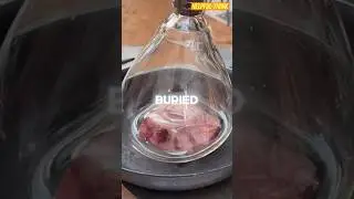 Random Facts That Might Save Your Life Part 16 