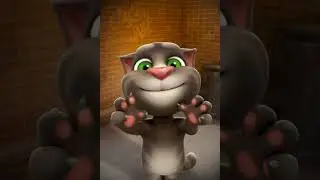 Hgy