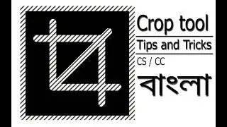Crop Tool Tips and Tricks in Photoshop Tutorial
