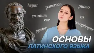 Основы латинского языка
