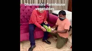 Dharmendra share a video from his  farmhouse | Vegetables in dharmendra farmhouse / kar de kheti