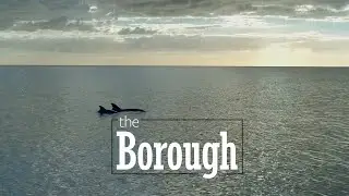 Latitudes Boat Tours in The Borough