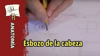 Esbozo de la cabeza