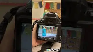 Taking Shallow Depth of Field Photos