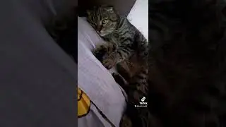 На миші😇🥰🥰🤣 