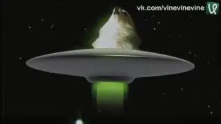 Мем 2016 собака