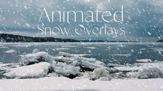 Animated Snow Overlays