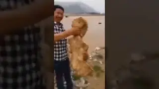 WTF???????? Что это за существо??????