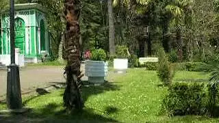 Парк в г.Сочи